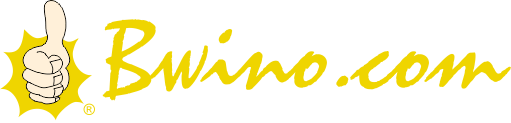 Bwino.com Ltd. Sound & Lighting Hire, Lusaka, Zambia.